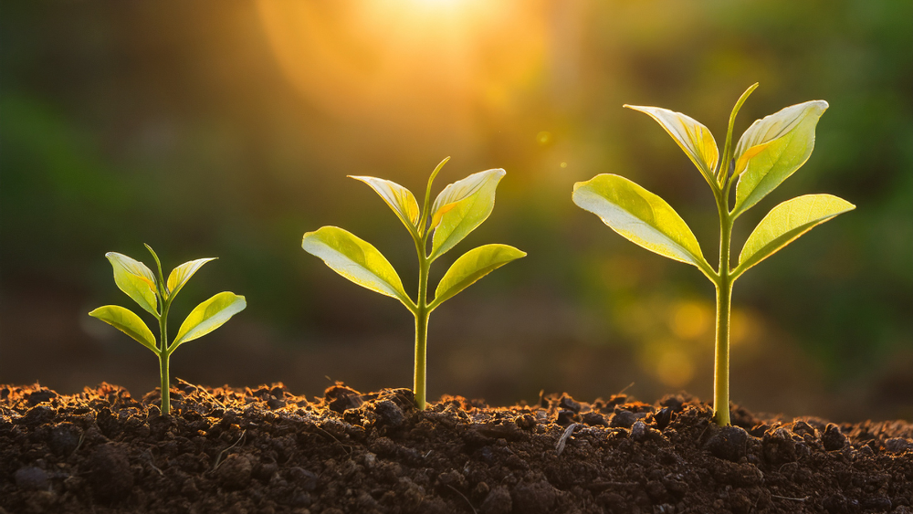 SNSで“伸びる会社”と“伸びない会社”の決定的な違い