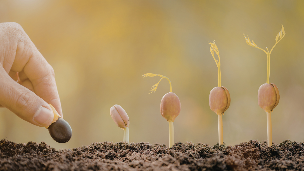 SNSでバズを狙うべき？拡散の仕組みと運用の正解を解説